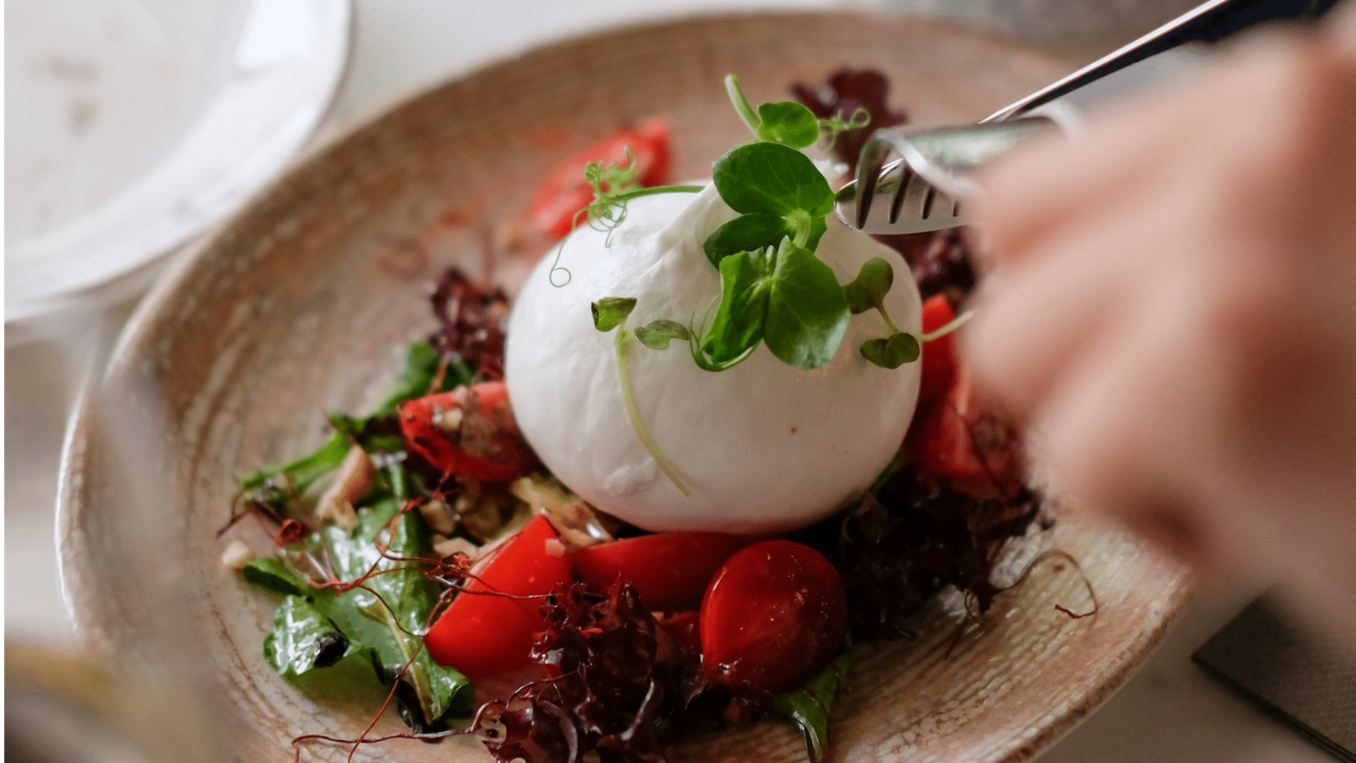 Wijn bij burrata