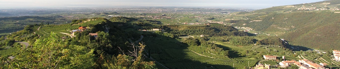 Amarone wijn